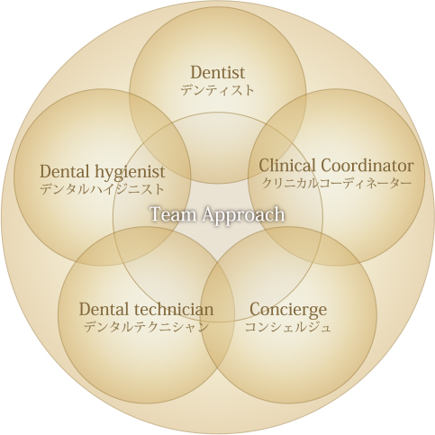 チームアプローチシステム図